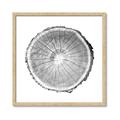 Picture of Logging In ll _GroupedProduct_Square_Photography _GroupedProduct_Square_Framed_Matted_