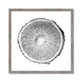 Picture of Logging In ll _GroupedProduct_Square_Photography _GroupedProduct_Square_Framed_Matted_