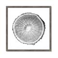 Picture of Logging In ll _GroupedProduct_Square_Photography _GroupedProduct_Square_Framed_Matted_