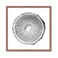 Picture of Logging In ll _GroupedProduct_Square_Photography _GroupedProduct_Square_Framed_Matted_