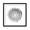 Picture of Logging In ll _GroupedProduct_Square_Photography _GroupedProduct_Square_Framed_Matted_