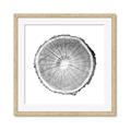 Picture of Logging In ll _GroupedProduct_Square_Photography _GroupedProduct_Square_Framed_Matted_