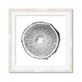 Picture of Logging In ll _GroupedProduct_Square_Photography _GroupedProduct_Square_Framed_Matted_