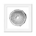Picture of Logging In ll _GroupedProduct_Square_Photography _GroupedProduct_Square_Framed_Matted_