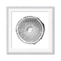 Picture of Logging In ll _GroupedProduct_Square_Photography _GroupedProduct_Square_Framed_Matted_