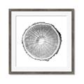 Picture of Logging In ll _GroupedProduct_Square_Photography _GroupedProduct_Square_Framed_Matted_