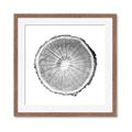Picture of Logging In ll _GroupedProduct_Square_Photography _GroupedProduct_Square_Framed_Matted_