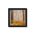 Picture of Mustard Forest _GroupedProduct_Square_Photography _GroupedProduct_Square_Framed_Matted_