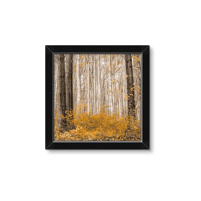 Picture of Mustard Forest _GroupedProduct_Square_Photography _GroupedProduct_Square_Framed_Matted_