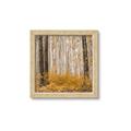 Picture of Mustard Forest _GroupedProduct_Square_Photography _GroupedProduct_Square_Framed_Matted_