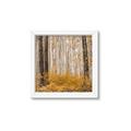 Picture of Mustard Forest _GroupedProduct_Square_Photography _GroupedProduct_Square_Framed_Matted_
