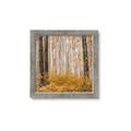 Picture of Mustard Forest _GroupedProduct_Square_Photography _GroupedProduct_Square_Framed_Matted_