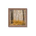 Picture of Mustard Forest _GroupedProduct_Square_Photography _GroupedProduct_Square_Framed_Matted_
