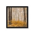 Picture of Mustard Forest _GroupedProduct_Square_Photography _GroupedProduct_Square_Framed_Matted_