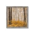 Picture of Mustard Forest _GroupedProduct_Square_Photography _GroupedProduct_Square_Framed_Matted_