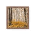 Picture of Mustard Forest _GroupedProduct_Square_Photography _GroupedProduct_Square_Framed_Matted_