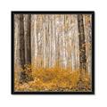 Picture of Mustard Forest _GroupedProduct_Square_Photography _GroupedProduct_Square_Framed_Matted_