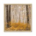 Picture of Mustard Forest _GroupedProduct_Square_Photography _GroupedProduct_Square_Framed_Matted_