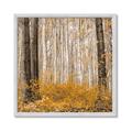 Picture of Mustard Forest _GroupedProduct_Square_Photography _GroupedProduct_Square_Framed_Matted_