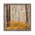 Picture of Mustard Forest _GroupedProduct_Square_Photography _GroupedProduct_Square_Framed_Matted_