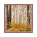 Picture of Mustard Forest _GroupedProduct_Square_Photography _GroupedProduct_Square_Framed_Matted_