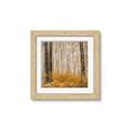 Picture of Mustard Forest _GroupedProduct_Square_Photography _GroupedProduct_Square_Framed_Matted_