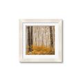 Picture of Mustard Forest _GroupedProduct_Square_Photography _GroupedProduct_Square_Framed_Matted_