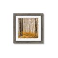 Picture of Mustard Forest _GroupedProduct_Square_Photography _GroupedProduct_Square_Framed_Matted_