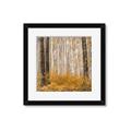 Picture of Mustard Forest _GroupedProduct_Square_Photography _GroupedProduct_Square_Framed_Matted_