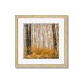 Picture of Mustard Forest _GroupedProduct_Square_Photography _GroupedProduct_Square_Framed_Matted_