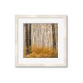 Picture of Mustard Forest _GroupedProduct_Square_Photography _GroupedProduct_Square_Framed_Matted_