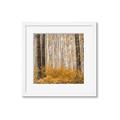 Picture of Mustard Forest _GroupedProduct_Square_Photography _GroupedProduct_Square_Framed_Matted_