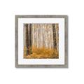 Picture of Mustard Forest _GroupedProduct_Square_Photography _GroupedProduct_Square_Framed_Matted_