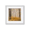Picture of Mustard Forest _GroupedProduct_Square_Photography _GroupedProduct_Square_Framed_Matted_