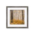 Picture of Mustard Forest _GroupedProduct_Square_Photography _GroupedProduct_Square_Framed_Matted_