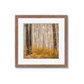 Picture of Mustard Forest _GroupedProduct_Square_Photography _GroupedProduct_Square_Framed_Matted_