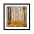 Picture of Mustard Forest _GroupedProduct_Square_Photography _GroupedProduct_Square_Framed_Matted_