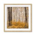 Picture of Mustard Forest _GroupedProduct_Square_Photography _GroupedProduct_Square_Framed_Matted_