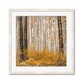 Picture of Mustard Forest _GroupedProduct_Square_Photography _GroupedProduct_Square_Framed_Matted_