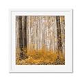 Picture of Mustard Forest _GroupedProduct_Square_Photography _GroupedProduct_Square_Framed_Matted_