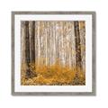 Picture of Mustard Forest _GroupedProduct_Square_Photography _GroupedProduct_Square_Framed_Matted_