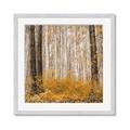 Picture of Mustard Forest _GroupedProduct_Square_Photography _GroupedProduct_Square_Framed_Matted_