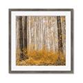 Picture of Mustard Forest _GroupedProduct_Square_Photography _GroupedProduct_Square_Framed_Matted_