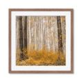 Picture of Mustard Forest _GroupedProduct_Square_Photography _GroupedProduct_Square_Framed_Matted_