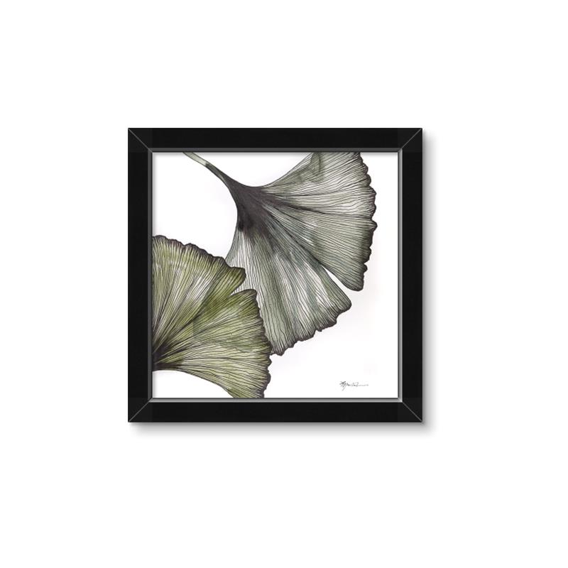 Picture of Ginko Leaves I _GroupedProduct_Square_Framed_Matted_
