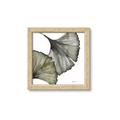 Picture of Ginko Leaves I _GroupedProduct_Square_Framed_Matted_