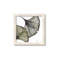 Picture of Ginko Leaves I _GroupedProduct_Square_Framed_Matted_