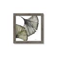 Picture of Ginko Leaves I _GroupedProduct_Square_Framed_Matted_