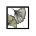 Picture of Ginko Leaves I _GroupedProduct_Square_Framed_Matted_