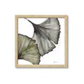 Picture of Ginko Leaves I _GroupedProduct_Square_Framed_Matted_